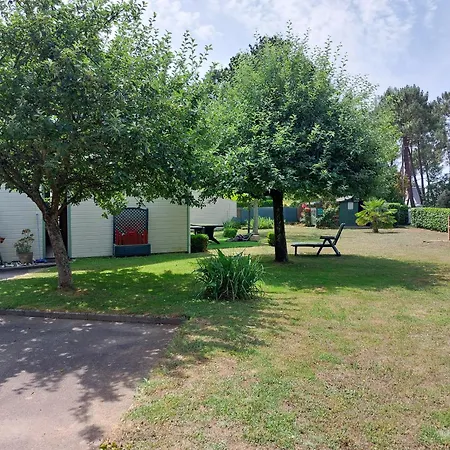 L' Albizia Casa vacanze *